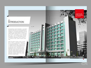 蓝玛设计 一站式创意解决方案，为品牌赋能