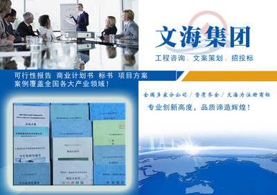 【上海那代做项目标书公司